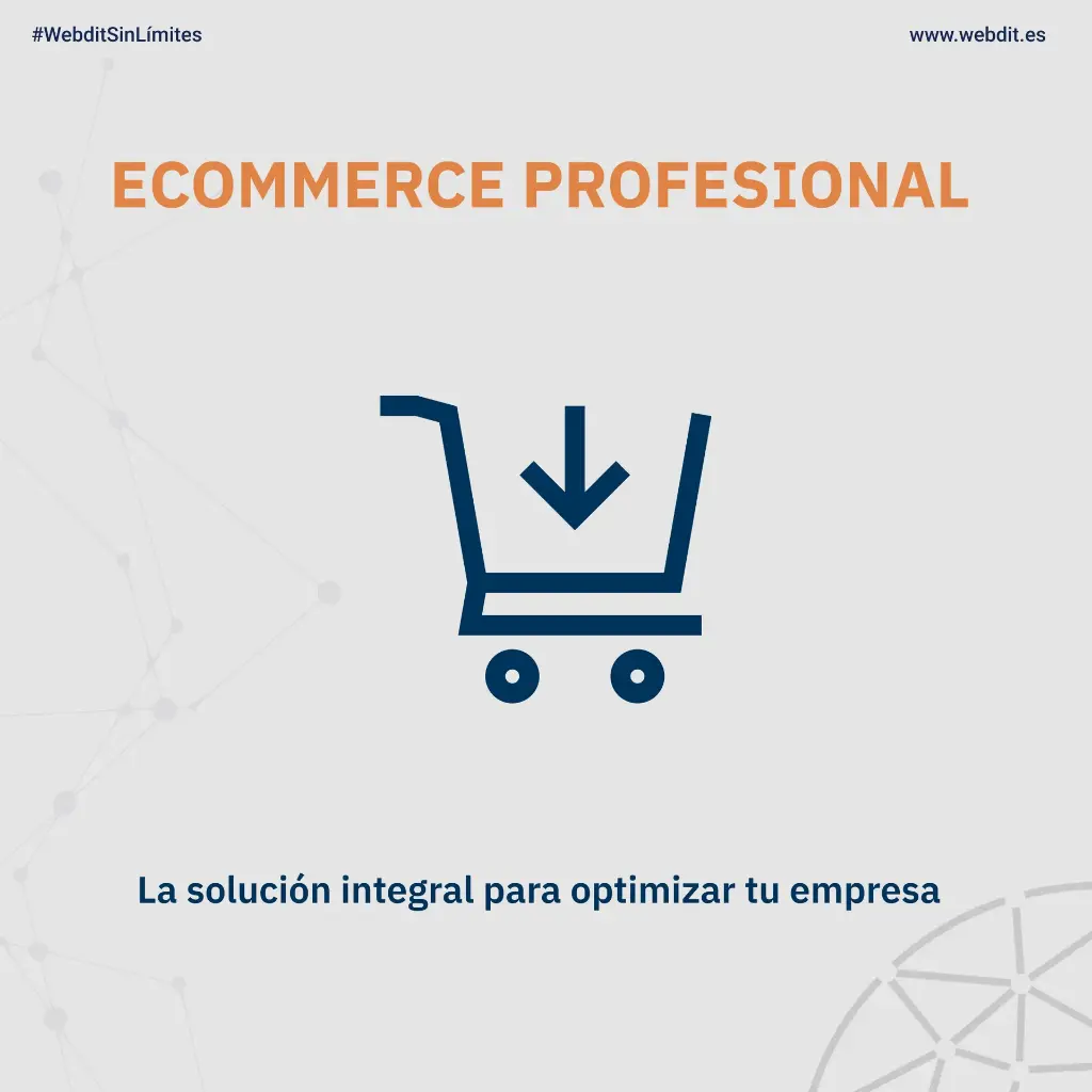 ECOMMERCE PROFESIONAL