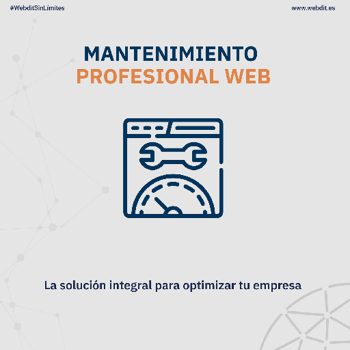 MANTENIMIENTO PROFESIONAL WEB