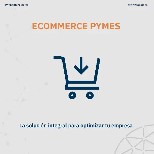 ECOMMERCE PYMES