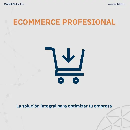 ECOMMERCE PROFESIONAL