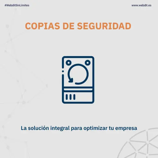 Copias de Seguridad